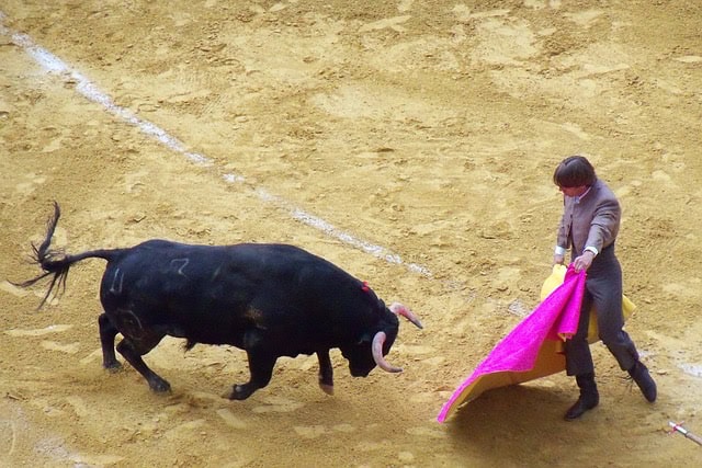 Pérols : le tribunal suspend la délibération autorisant la corrida en Juillet