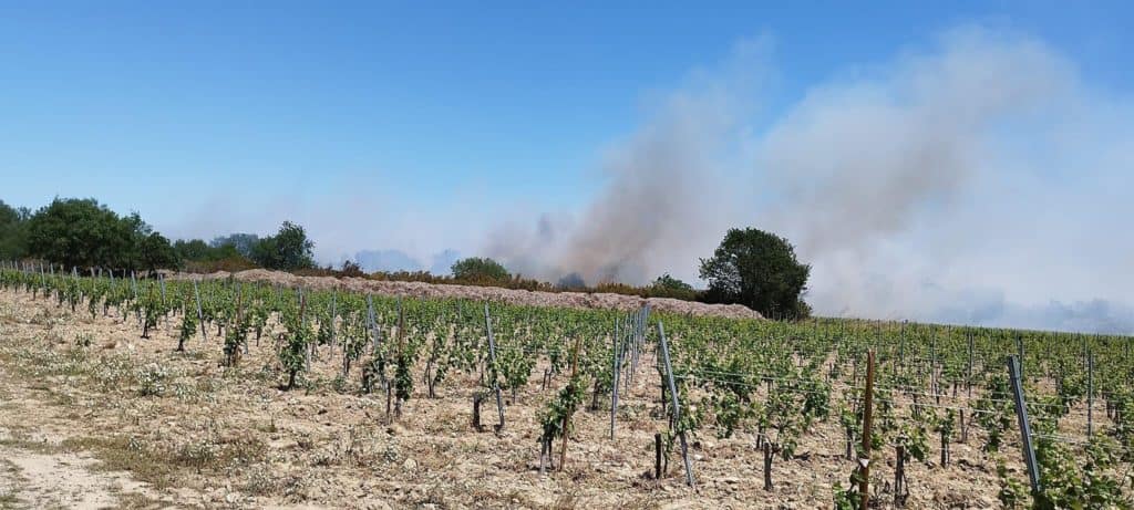 Occitanie : incendie en cours dans les Pyrénées-Orientales à Argelès-sur-Mer