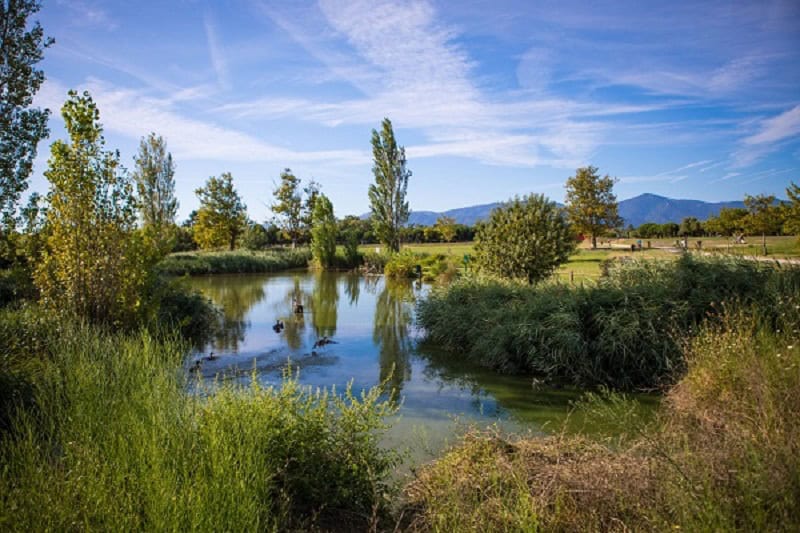 Pyrénées-Orientales : Le parc de la Prade, un paradis de mère Nature
