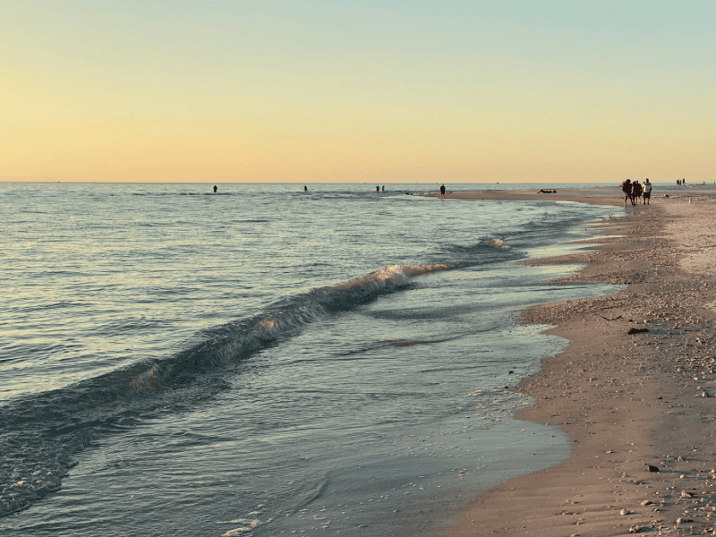 Météo : La Méditerranée atteint les 23 degrés sur tout le littoral de la région Occitanie