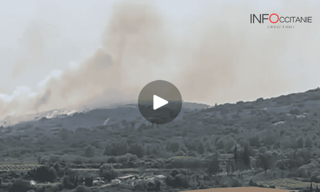 Hérault : un feu de végétation se déclare au nord du bassin de Thau, un avion bombardier d’eau engagé