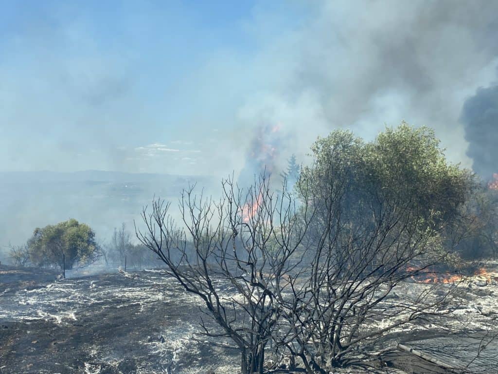 Gard : après plusieurs départs de feu de végétation ce vendredi, les pompiers appellent à la prudence