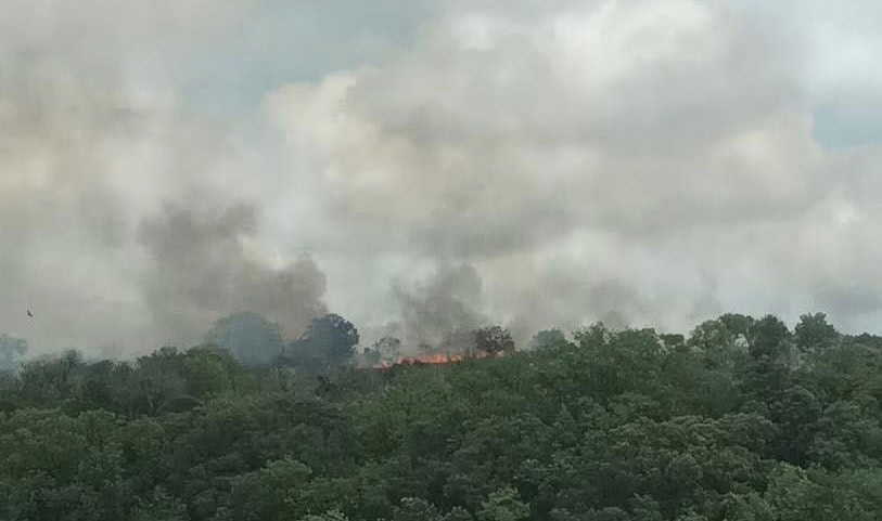 Incendie dans l’Hérault : les sapeurs-pompiers interviennent pour un feu de végétation