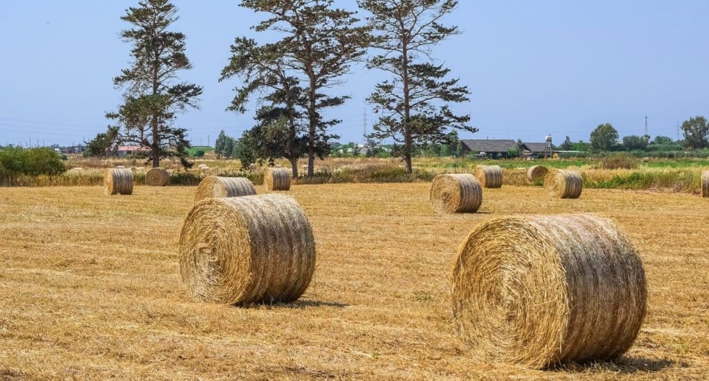 Occitanie : la Région crée un bonus inédit pour favoriser l’installation des agricultrices
