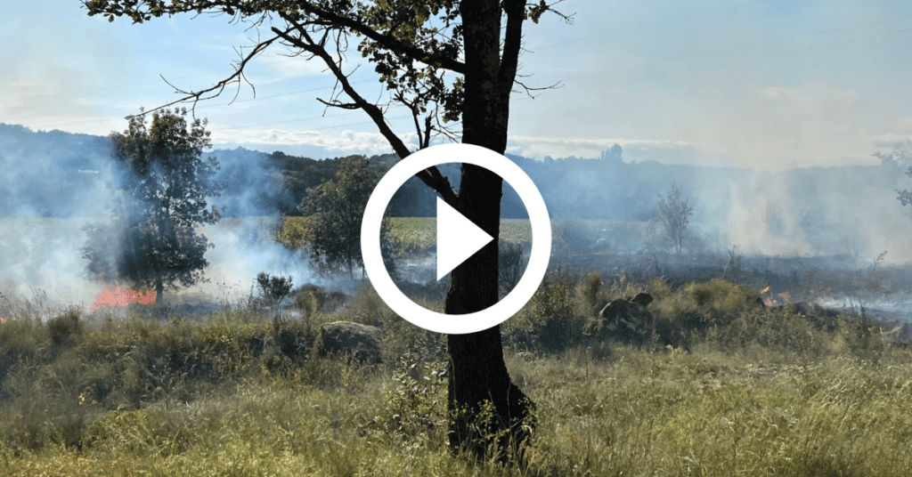 Gard : un feu de végétation se déclare au Sud d’Alès