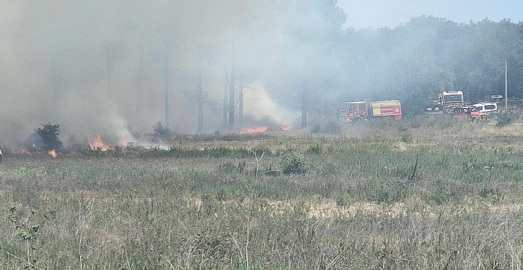 Pyrénées-Orientales : un feu de végétation se déclare à proximité d’un camping
