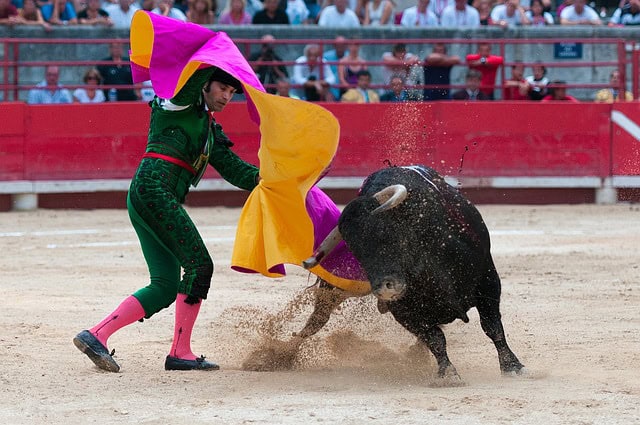Hérault : le Maire de Pérols osera-t-il braver l’interdiction de la corrida ?