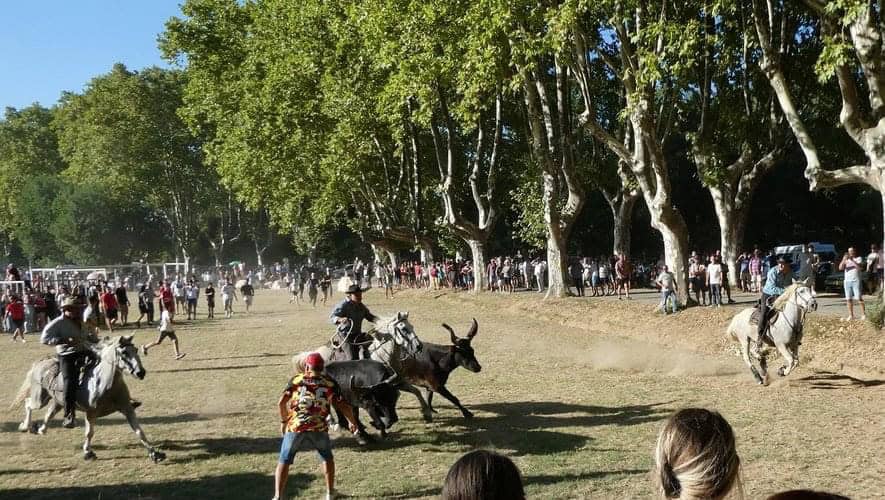 Gard : Gajan en fête, c’est du 27 au 30 juillet cette année !