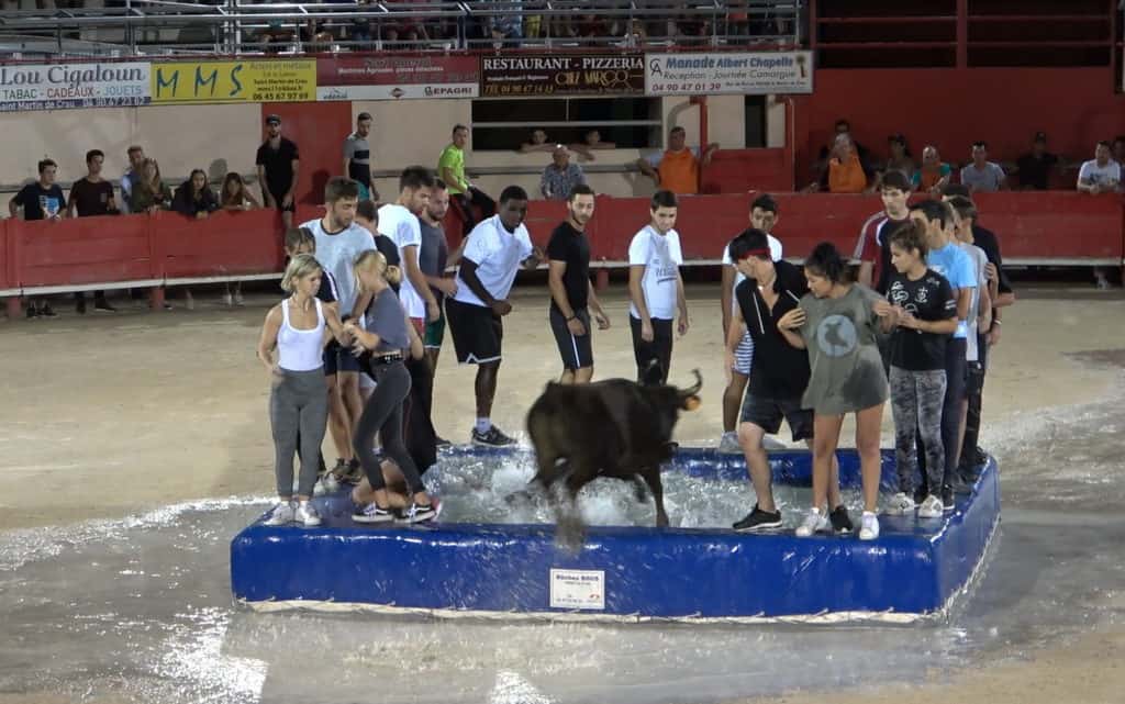 Occitanie : des spectacles « Toro Piscine » tout l’été dans les Arènes du Gard et de l’Hérault