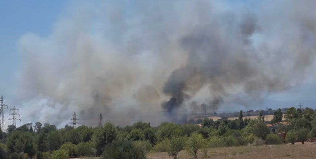 Pyrénées-Orientales : feu de végétation dans la commune de Perpignan
