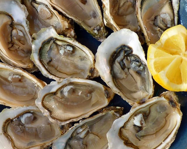 Hérault : fête de l’huître à Marseillan, pour tous les amoureux de coquillages