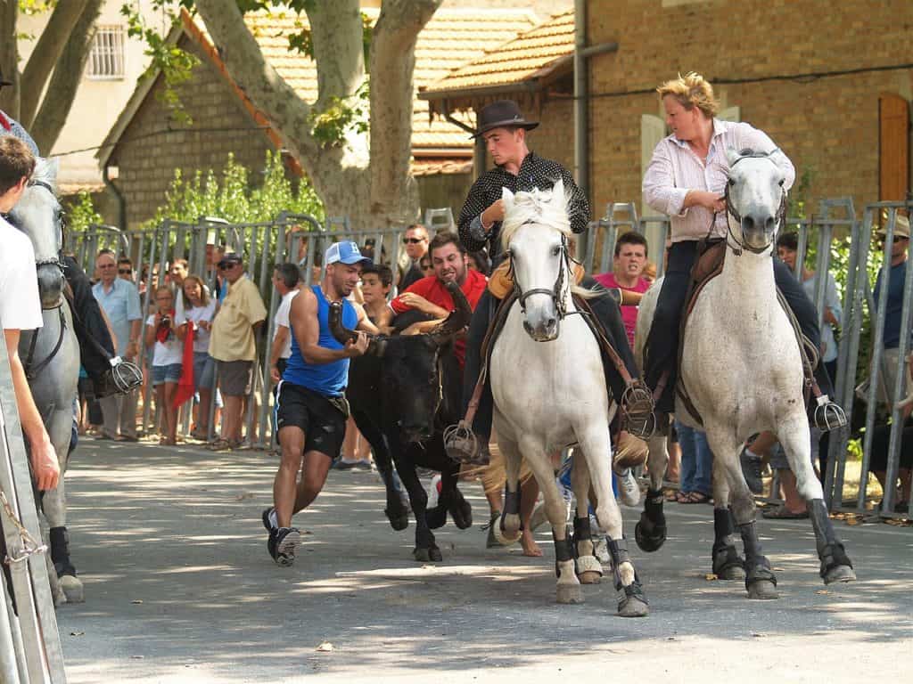 Hérault : la fête votive de Montarnaud du 12 au 15 août