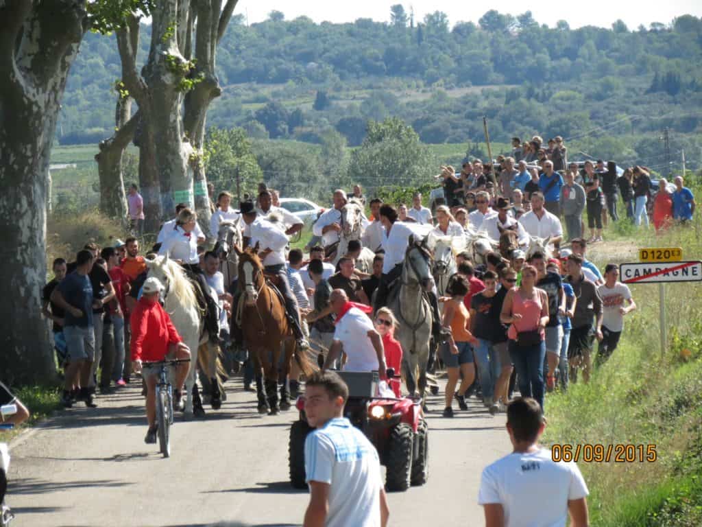 Hérault : un programme chargé pour la Fête de Campagne en célébration des 50 ans du comité