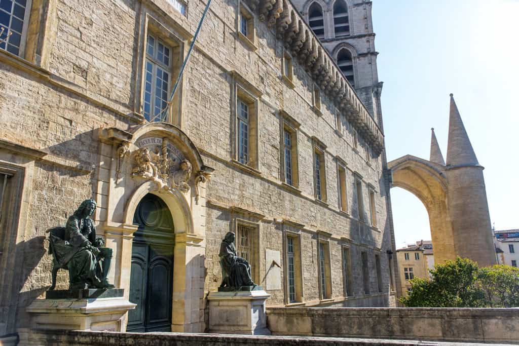 Hérault : des visites guidées pour découvrir l’histoire médicale de Montpellier
