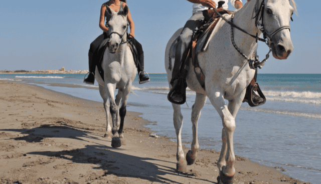Camargue : chute mortelle lors d’une promenade à cheval