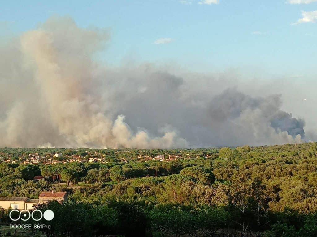 Feu Pyrénées-Orientales : 500 hectares calcinés, un camion de pompiers brûlé et 3500 personnes évacuées