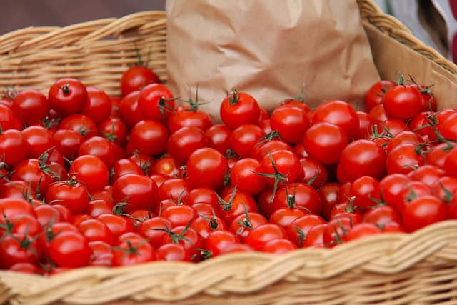 Hérault : 16ème Festival de la tomate à Clapiers le 3 septembre prochain