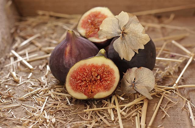 Gard : les Jours de Figues de retour dans la commune de Vézénobres