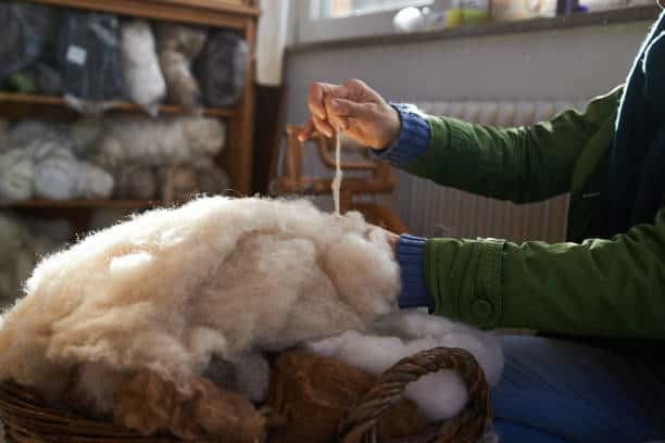 Gard : la laine à l’honneur lors d’une journée spéciale à Génolhac