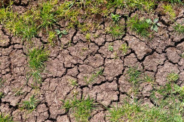 Gard : augmentation des restrictions d’eau dans le département