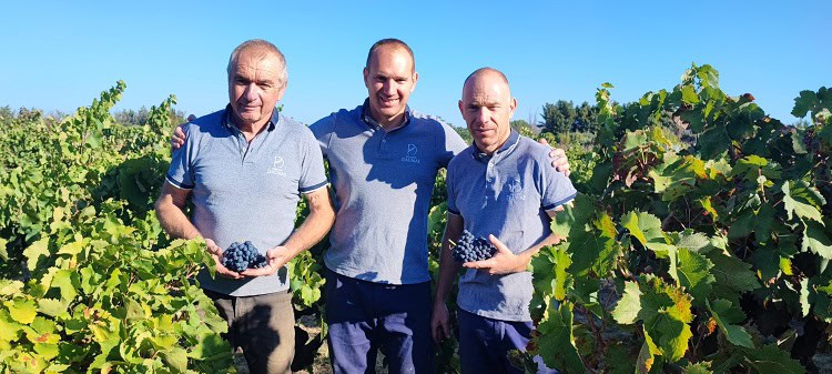 Hérault : le Domaine Daumas en quête d’investisseurs pour se développer
