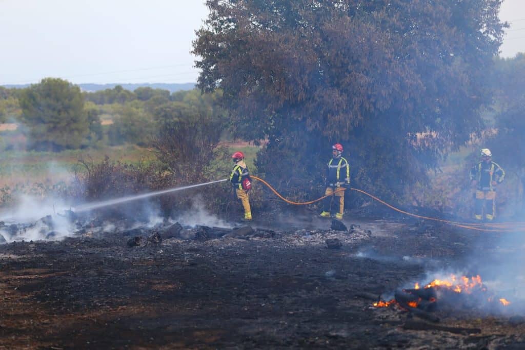 Occitanie : chaleur et vent, le risque d’incendie s’intensifie cette semaine