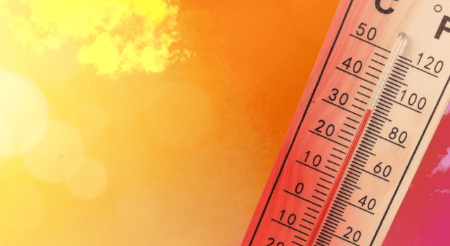 Météo en Occitanie : sous un effet de foehn, il a fait 30 degrés en pleine nuit