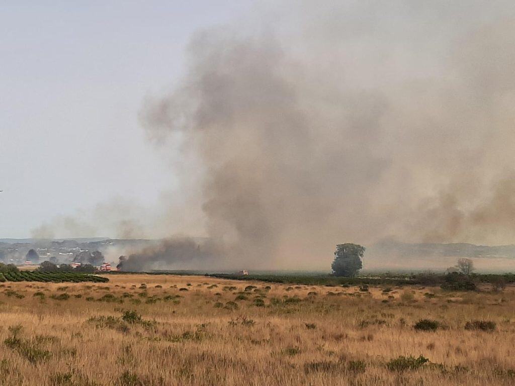 Aude : un feu de végétation mobilise les pompiers et un hélicoptère