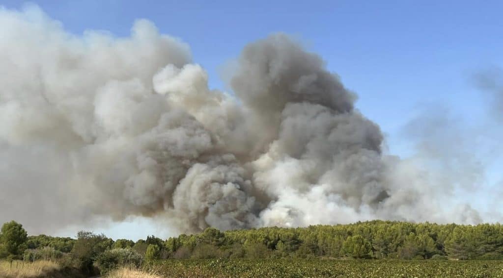 Incendie dans le Gard : les dernières informations du feu de Calvisson