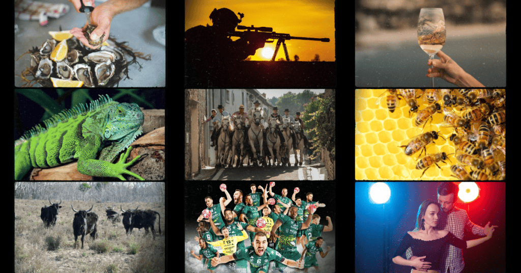 Que faire ce week-end du 23 et 24 septembre : concours de mangeur d’huitres, handball, traditions taurines… découvrez notre sélection