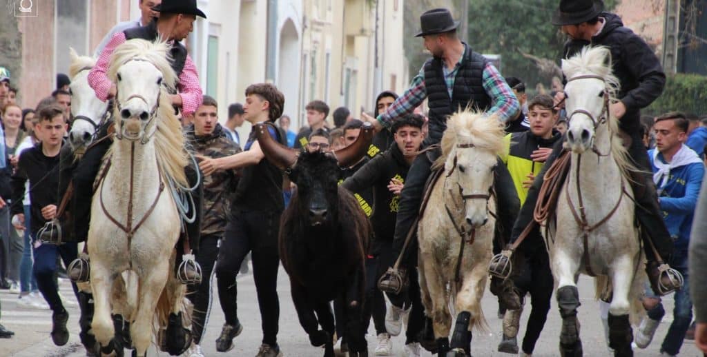Hérault : découvrez le programme de la fête à Mudaison du 17 au 19 novembre 2023
