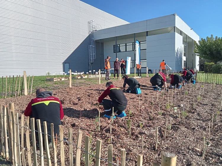 Plantation
