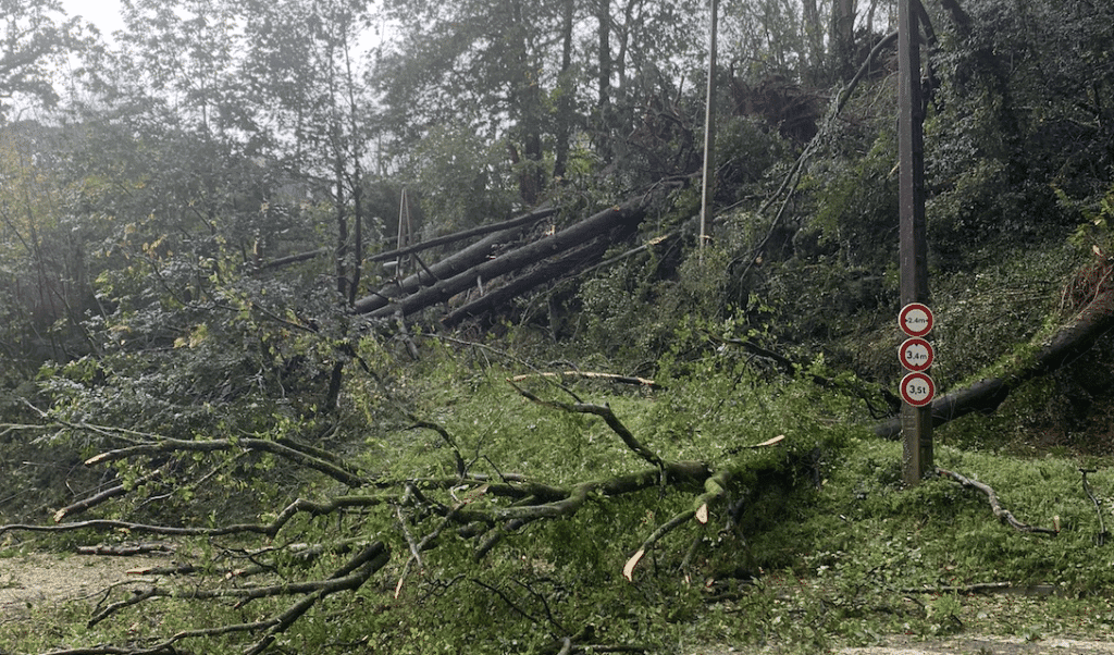 Tempête Ciaran : un décès et 1,2 million de foyers sans électricité