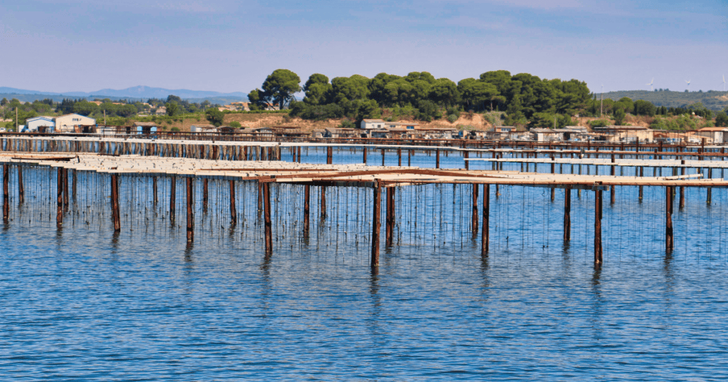Montpellier : trois projets innovants lauréats de « Avenir Littoral 2023 »