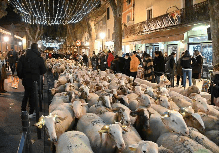 Lunel : la transhumance lumineuse de retour pour Noël