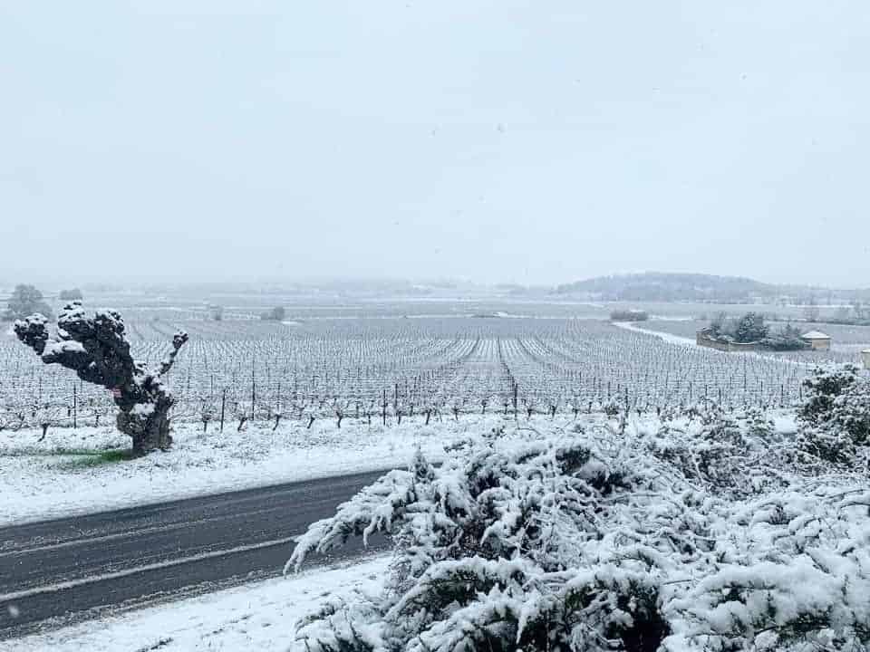 Météo : il y a 4 ans, la neige s’invitait jusqu’en plaine en région