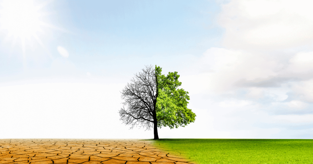 conférence écologique à Nîmes