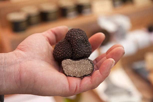 Truffe