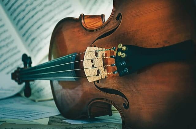 violon