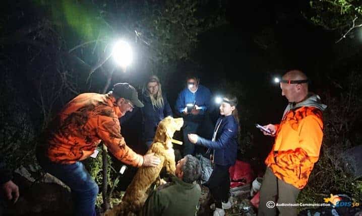 Gard : les sapeurs-pompiers libèrent un chien coincé sous une roche après une opération longue et périlleuse