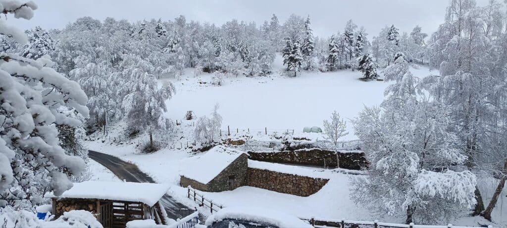 Lozère : découvrez les images des paysages sous 20 cm de neige !
