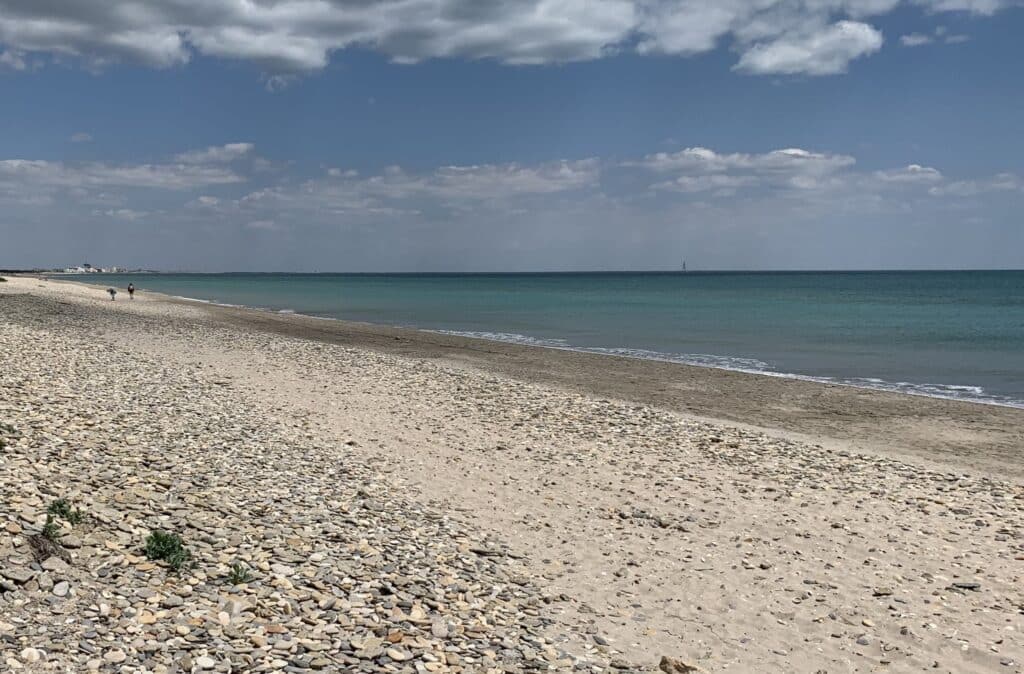 Hérault : « Dans 30 ans, la plage de Villeneuve-lès-Maguelone sera recouverte par la mer », alerte la Chambre des Comptes