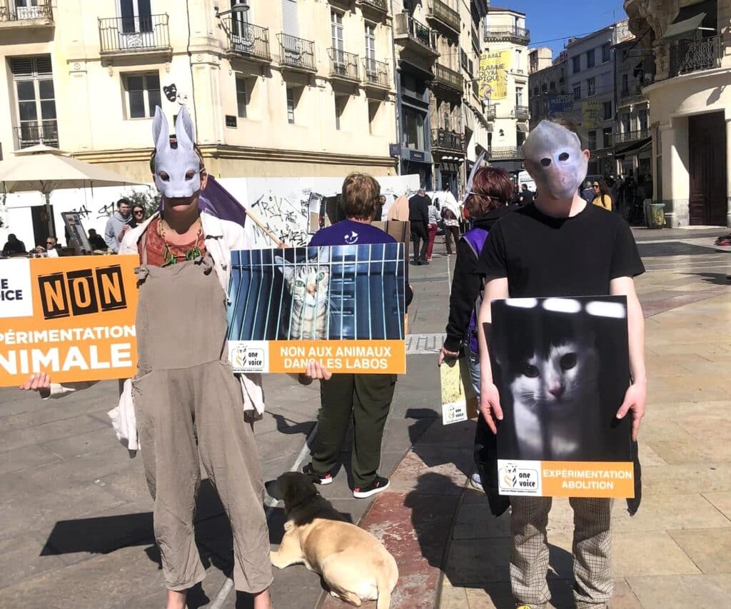 Hérault : « l’expérimentation animale est une horreur », s’insurge One Voice