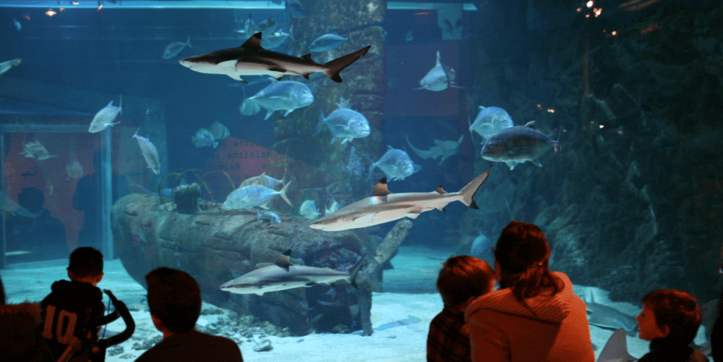 Seaquarium