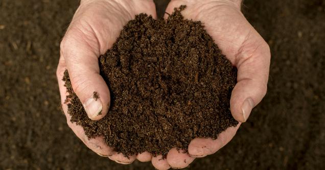 Gard : distribution gratuite de compost pour tous les habitants de Nîmes Métropole