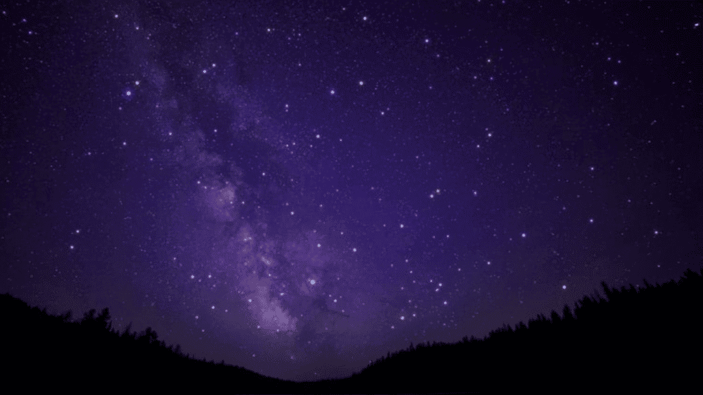 Deux études sur l’impact de la pollution lumineuse sur les insectes nocturnes en Cévennes