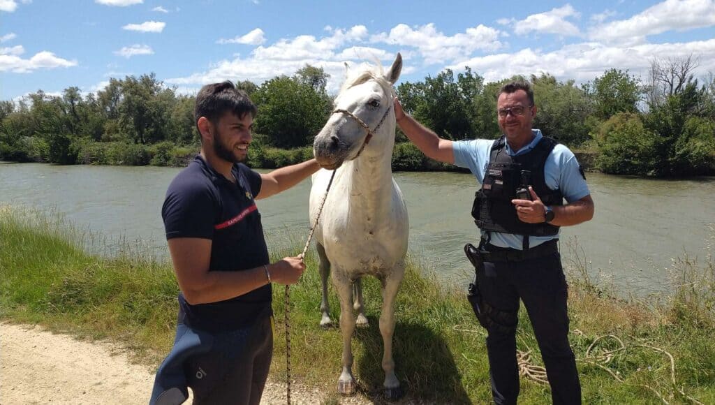cheval gard