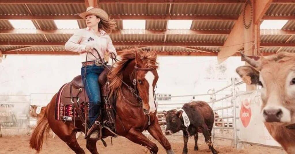 Gard : le plus grand événement français d’équitation western revient