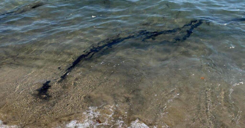 Grau-du-Roi : nappe de pétrole, la baignade et la pêche interdites sur la plage de l’Espiguette