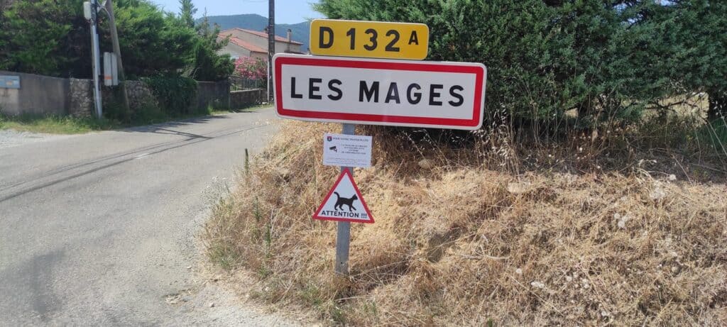 Gard : des panneaux « attention aux chats » pour alerter les automobilistes